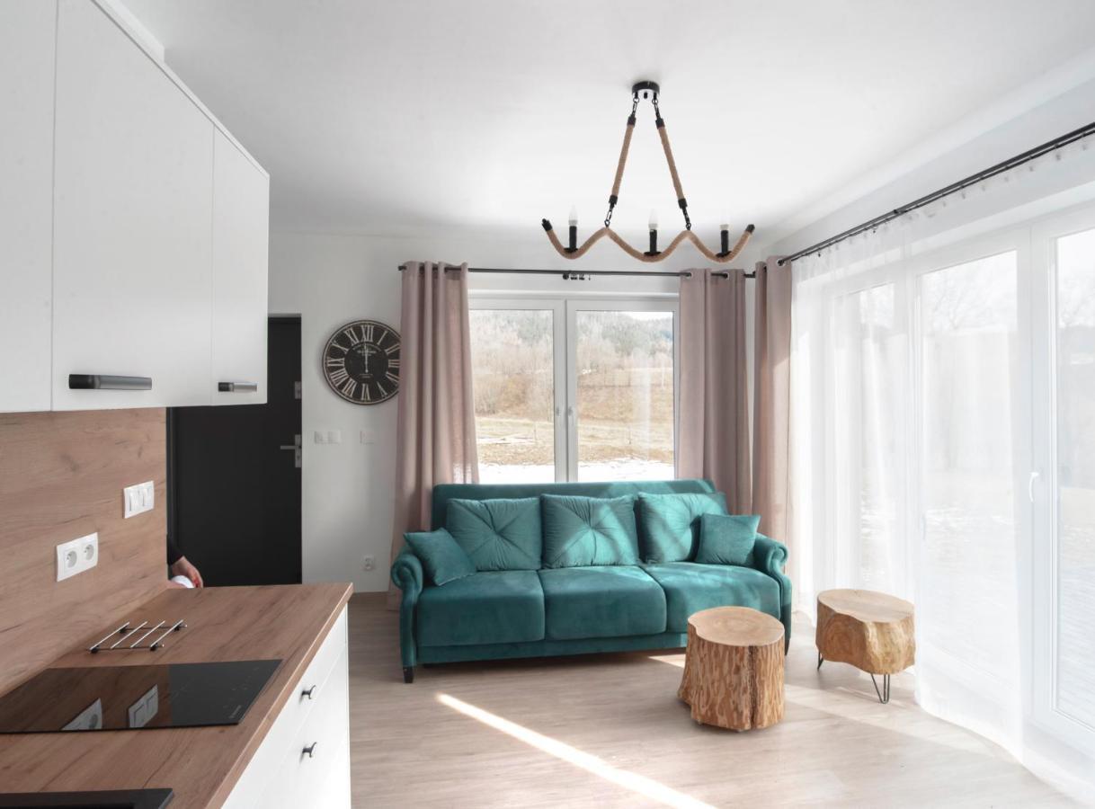Wilczarz Home Apartments Duszniki Zdrój Exterior foto